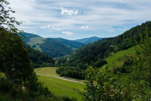 Visiting The Black Forest In Germany